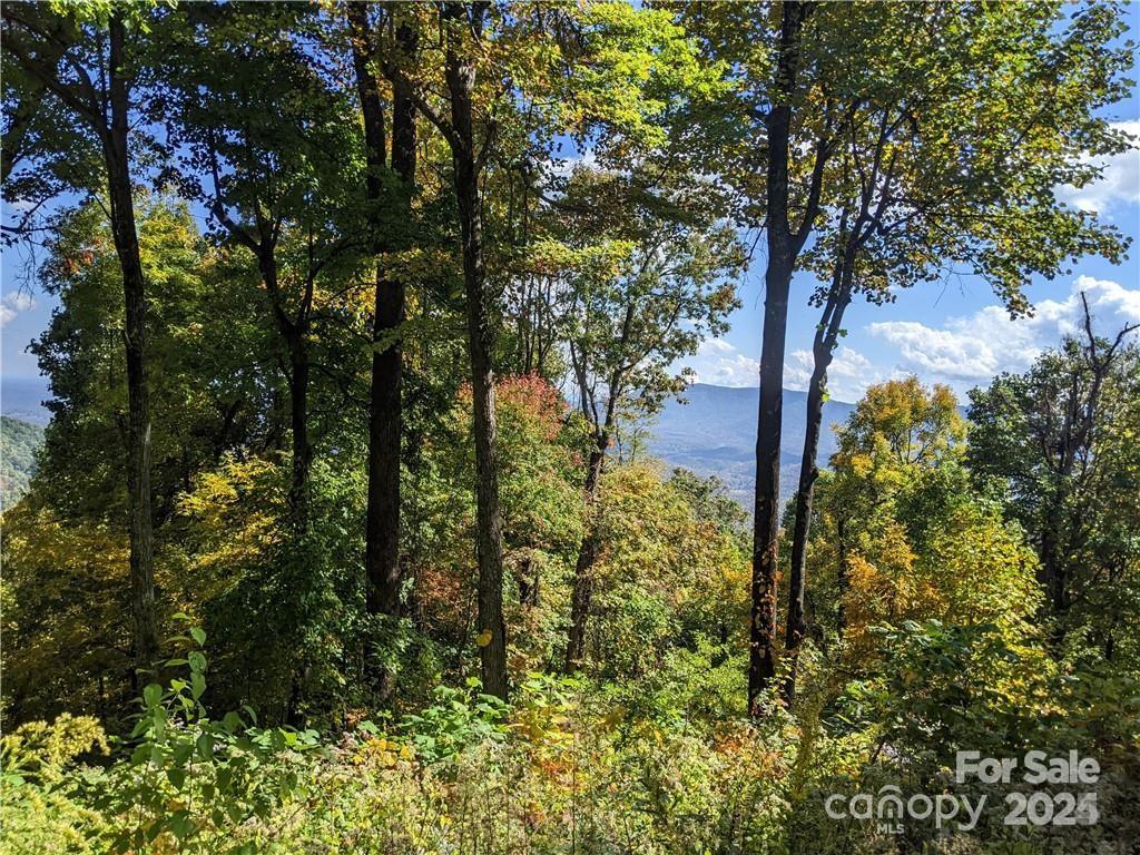 2687 Creston Drive Black Mountain NC 28711