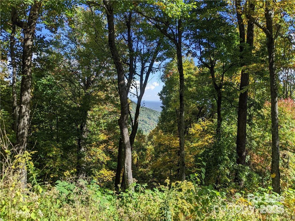 2687 Creston Drive Black Mountain NC 28711