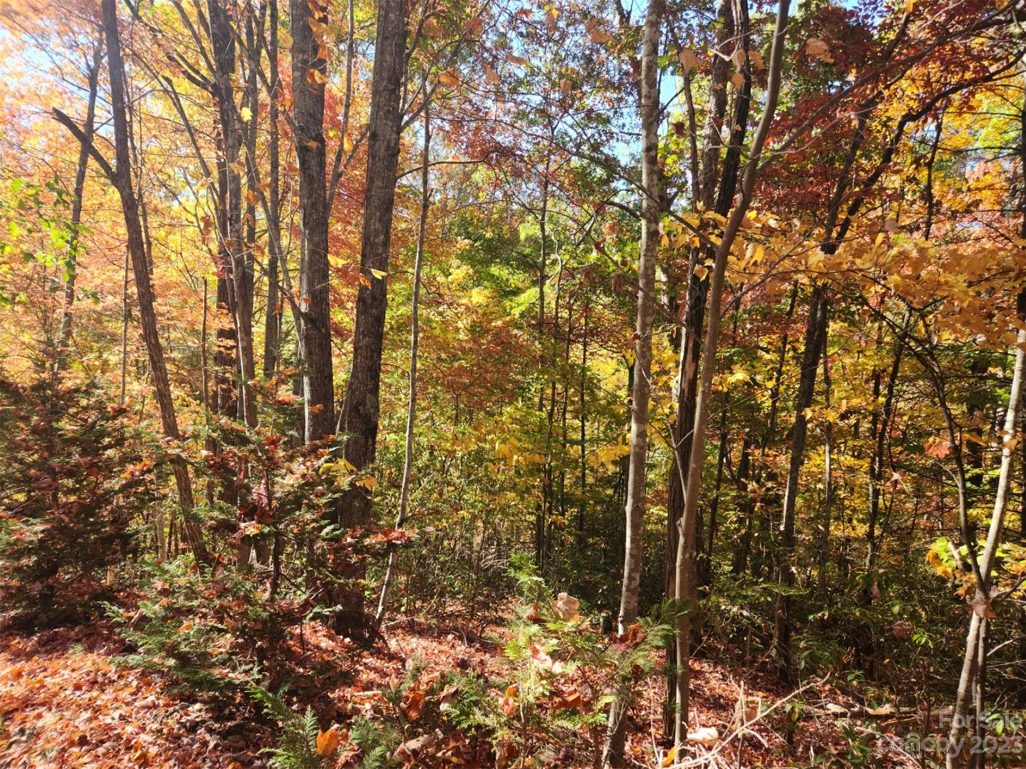 00 Angel Of The Lake Drive Lake Lure NC 28746