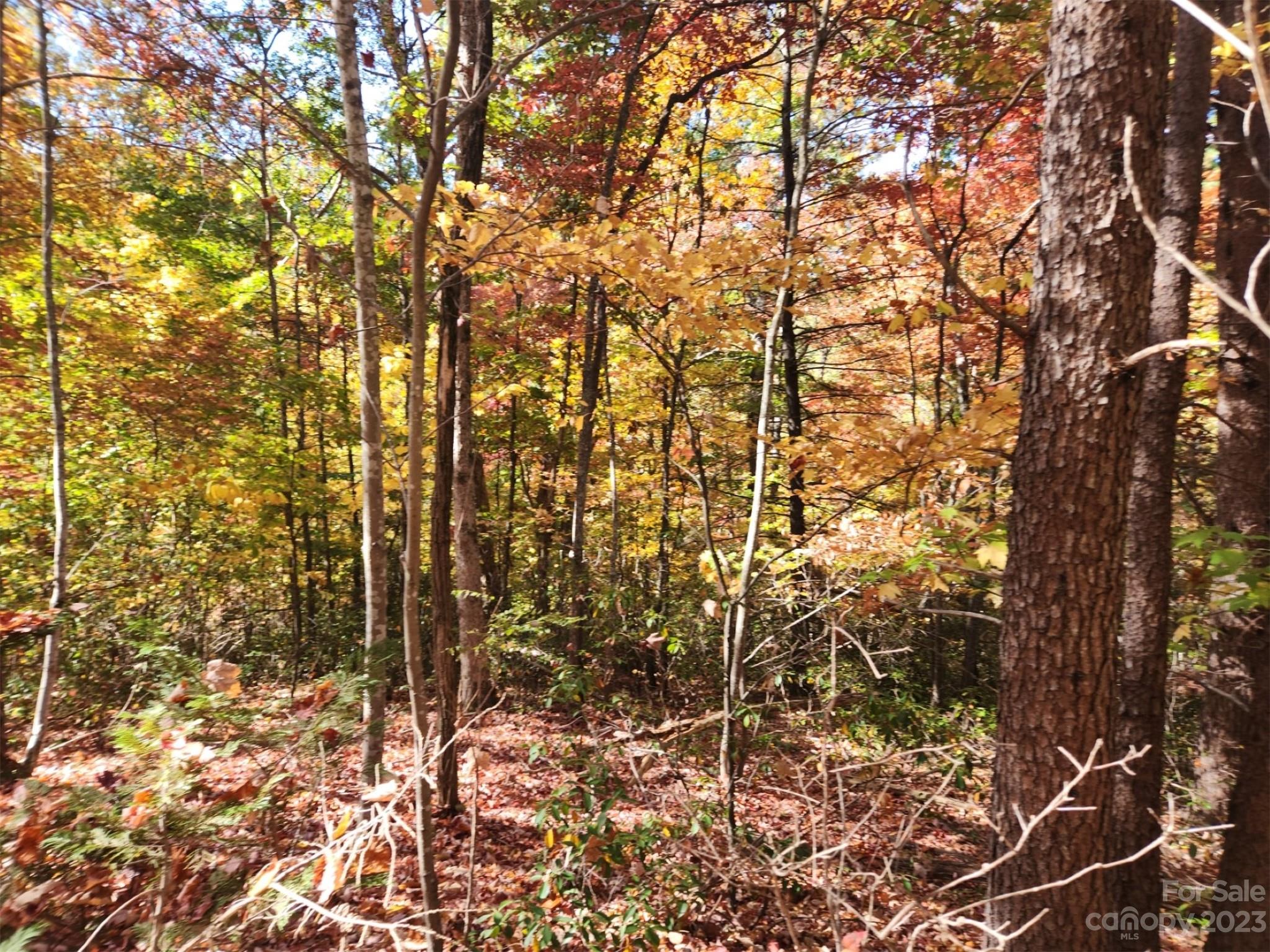 00 Angel Of The Lake Drive Lake Lure NC 28746