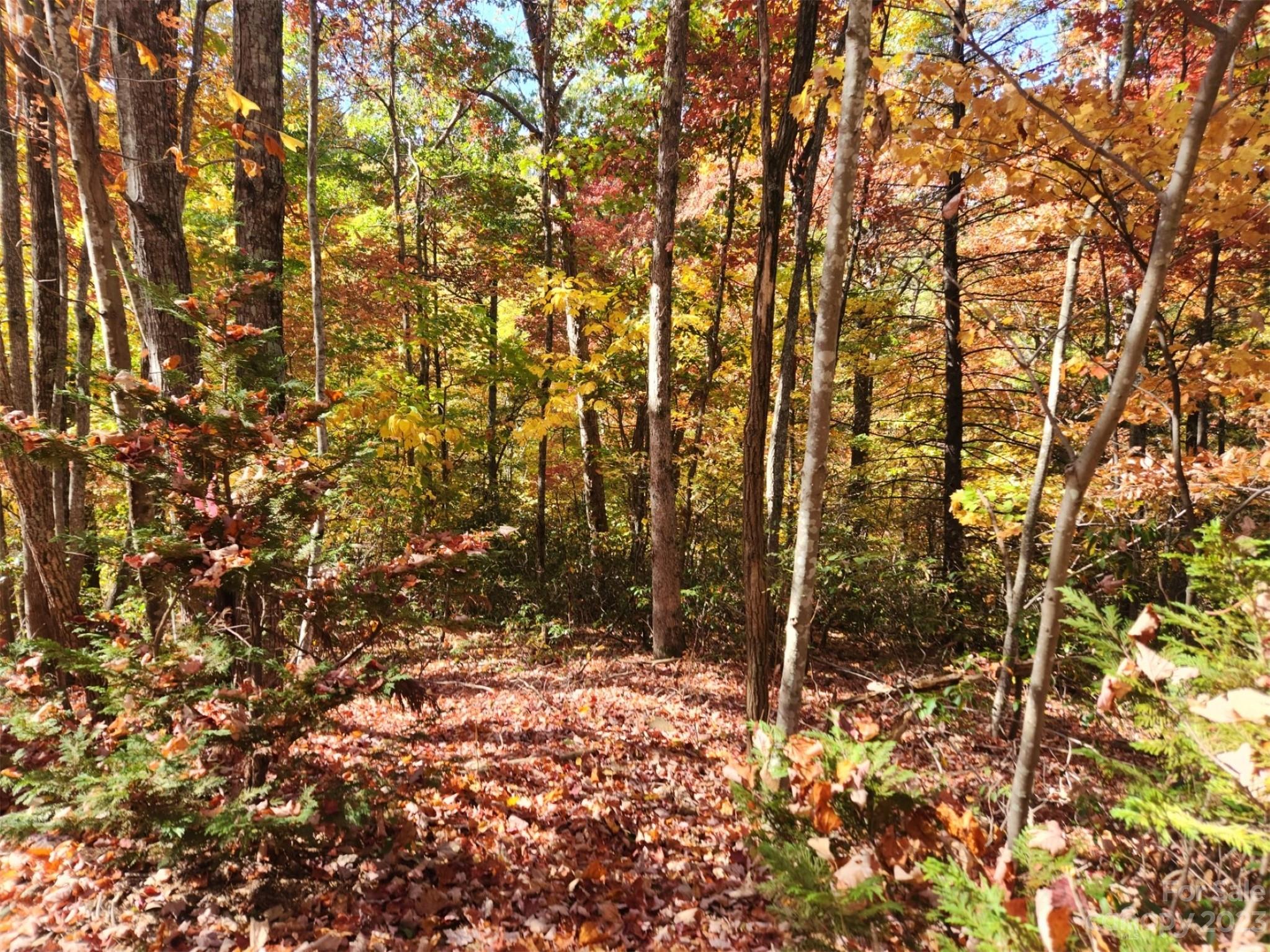 00 Angel Of The Lake Drive Lake Lure NC 28746
