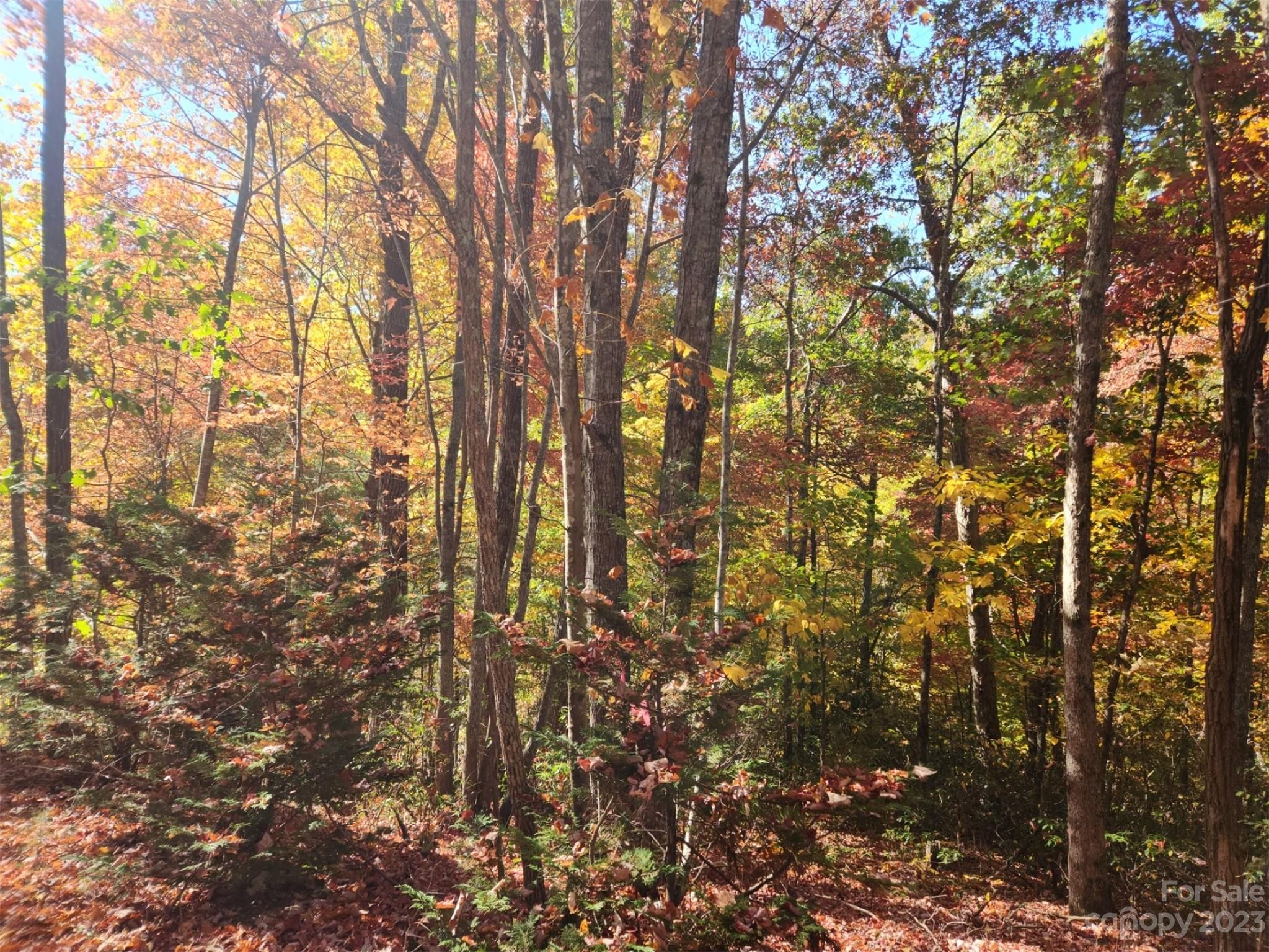 00 Angel Of The Lake Drive Lake Lure NC 28746