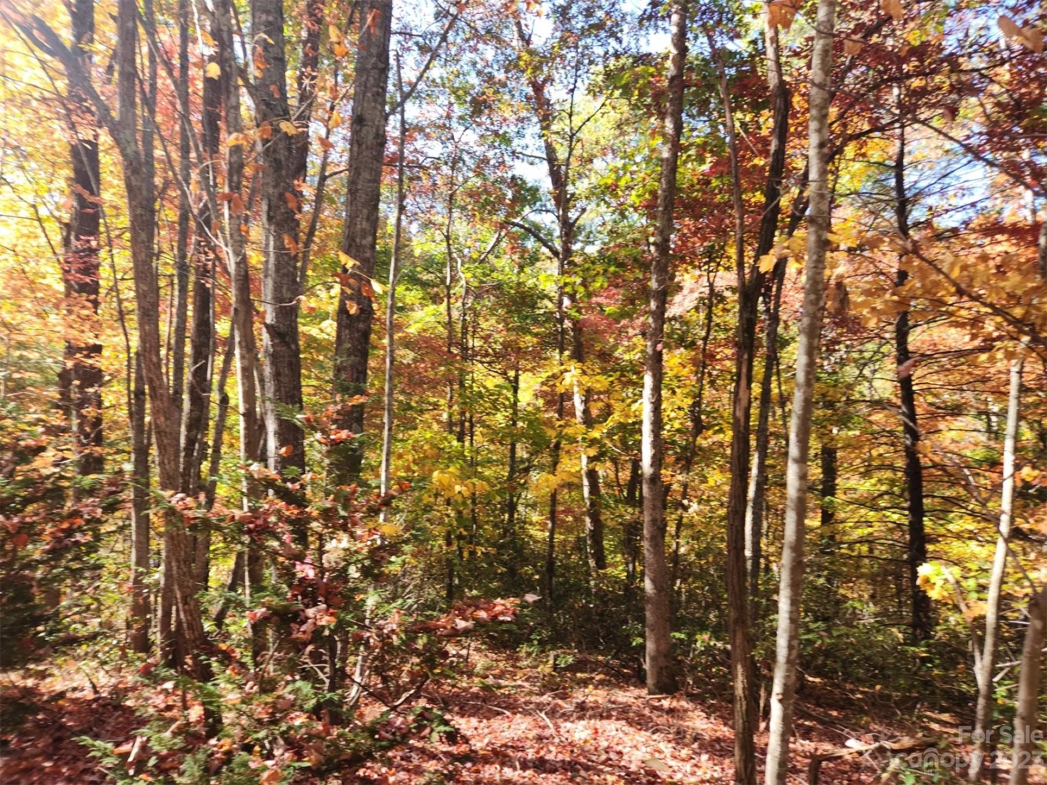 00 Angel Of The Lake Drive Lake Lure NC 28746