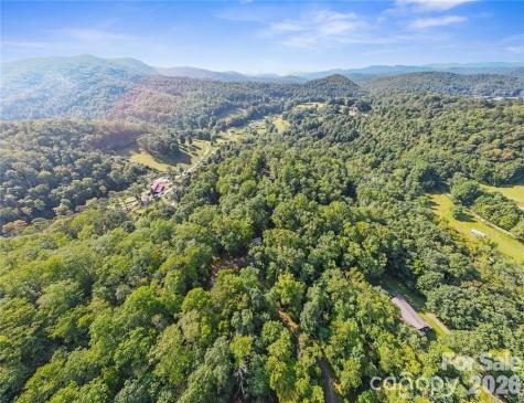 Tbd Barts Branch Drive Balsam Grove NC 28708