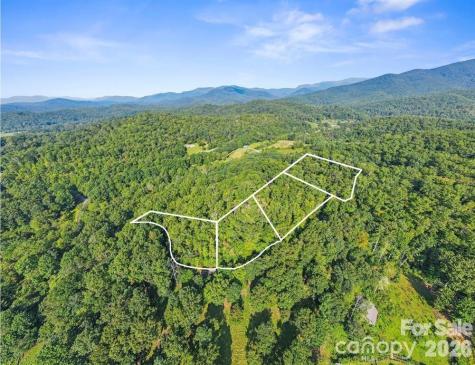 Tbd Barts Branch Drive Balsam Grove NC 28708