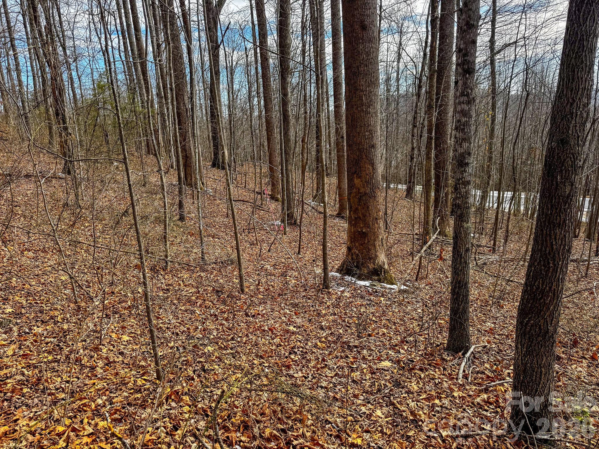 770 Somersby Parkway Hendersonville NC 28739