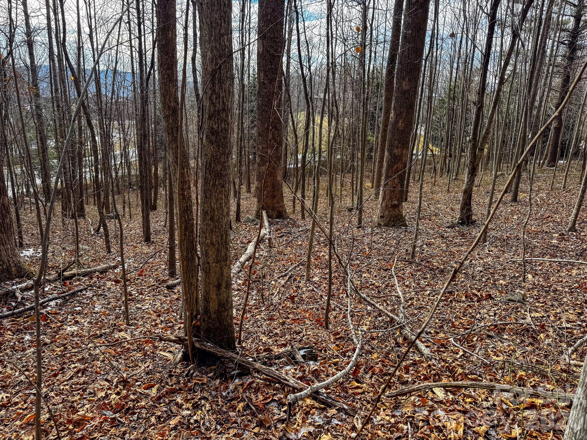 770 Somersby Parkway Hendersonville NC 28739