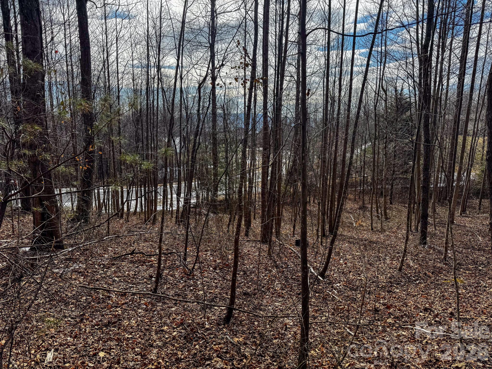 770 Somersby Parkway Hendersonville NC 28739