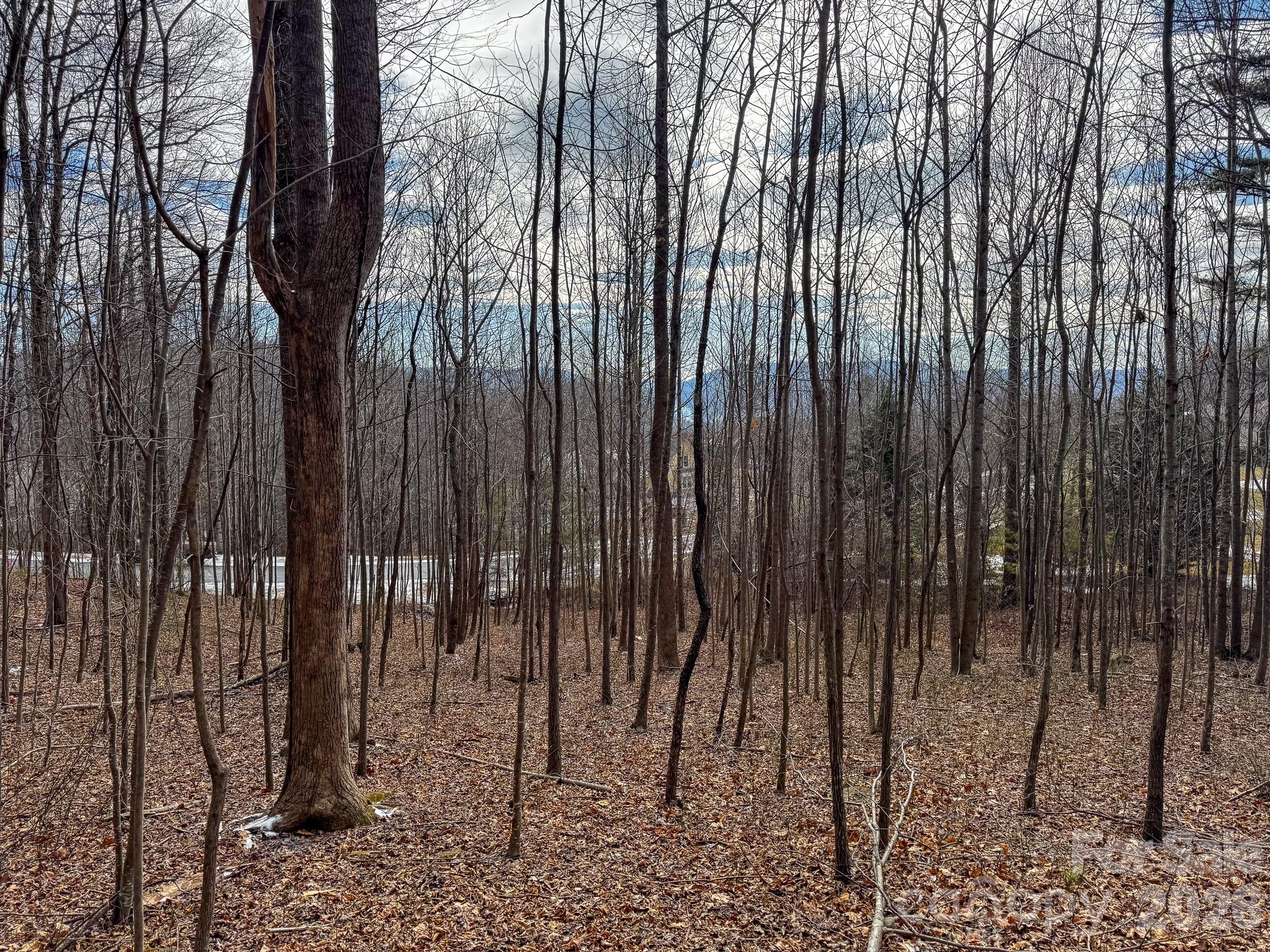 770 Somersby Parkway Hendersonville NC 28739