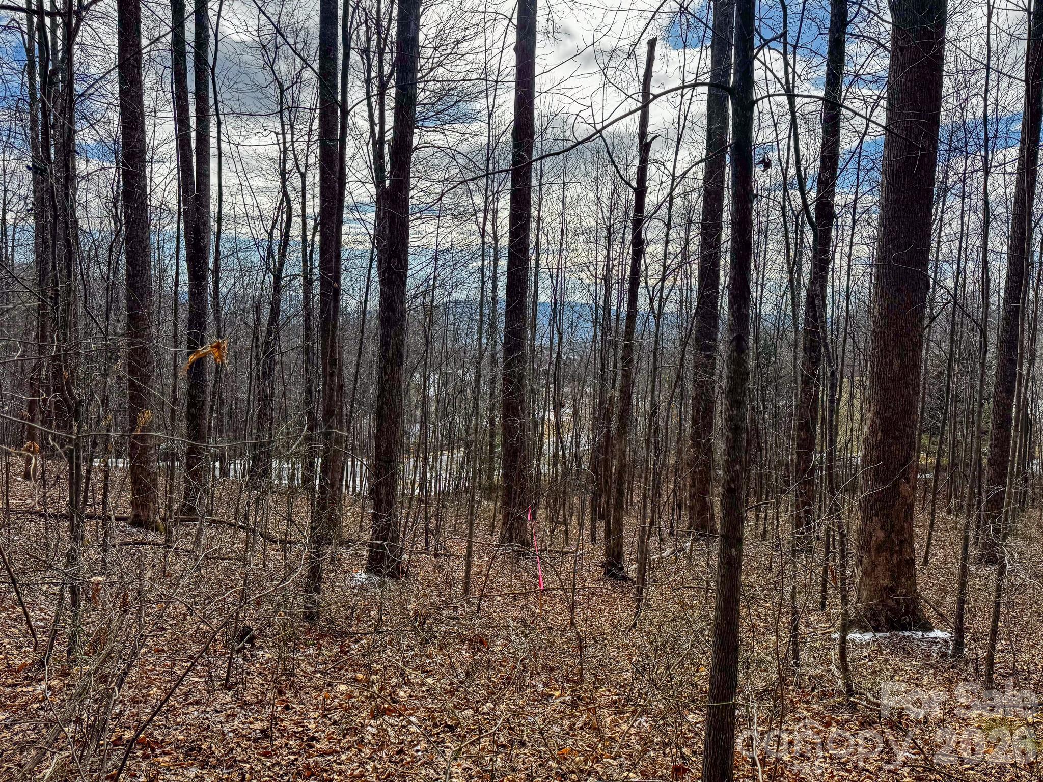 770 Somersby Parkway Hendersonville NC 28739