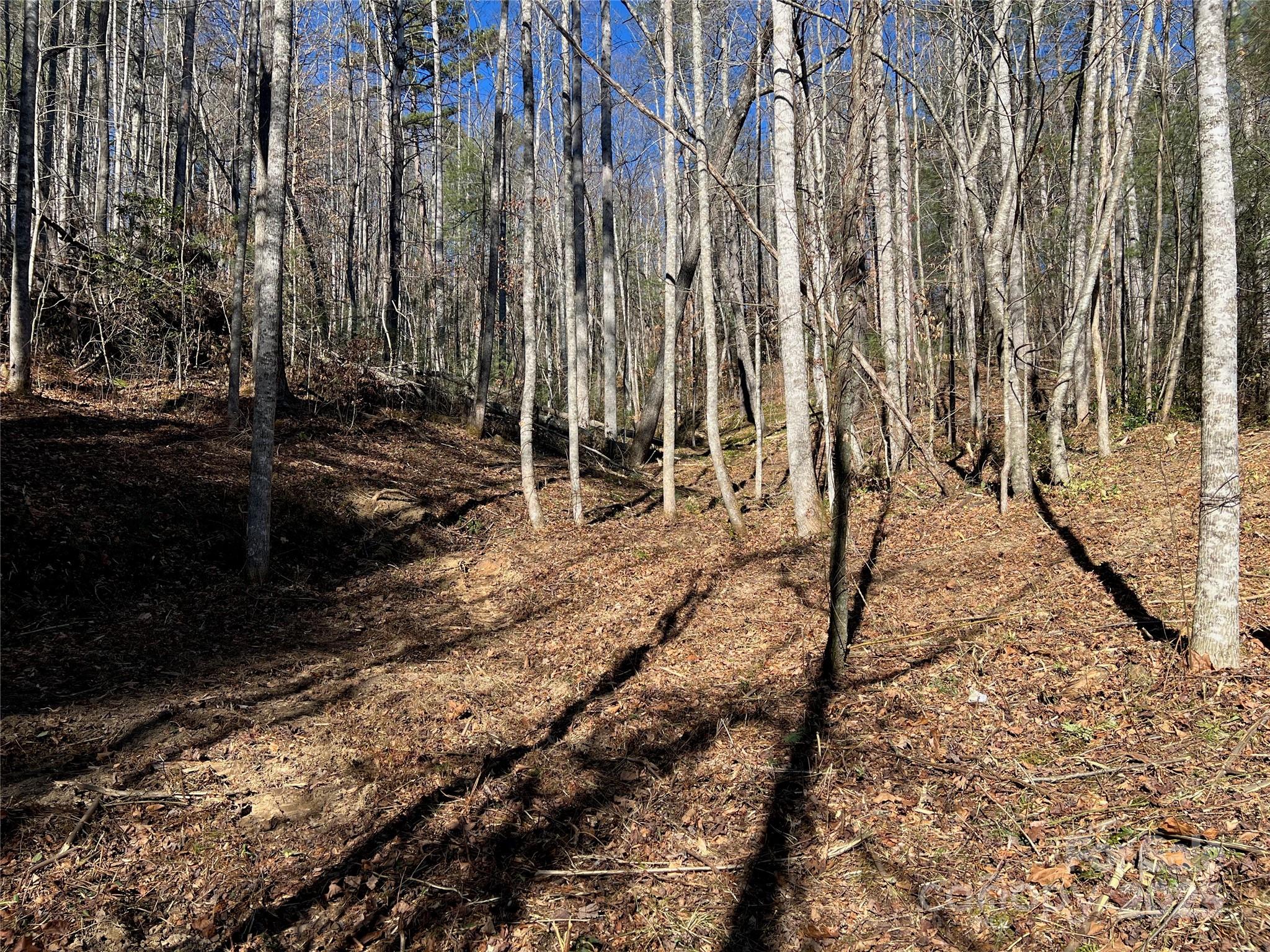 181 Falling Leaves Lane Hendersonville NC 28792