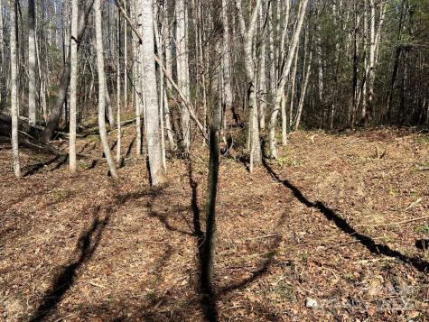 181 Falling Leaves Lane Hendersonville NC 28792