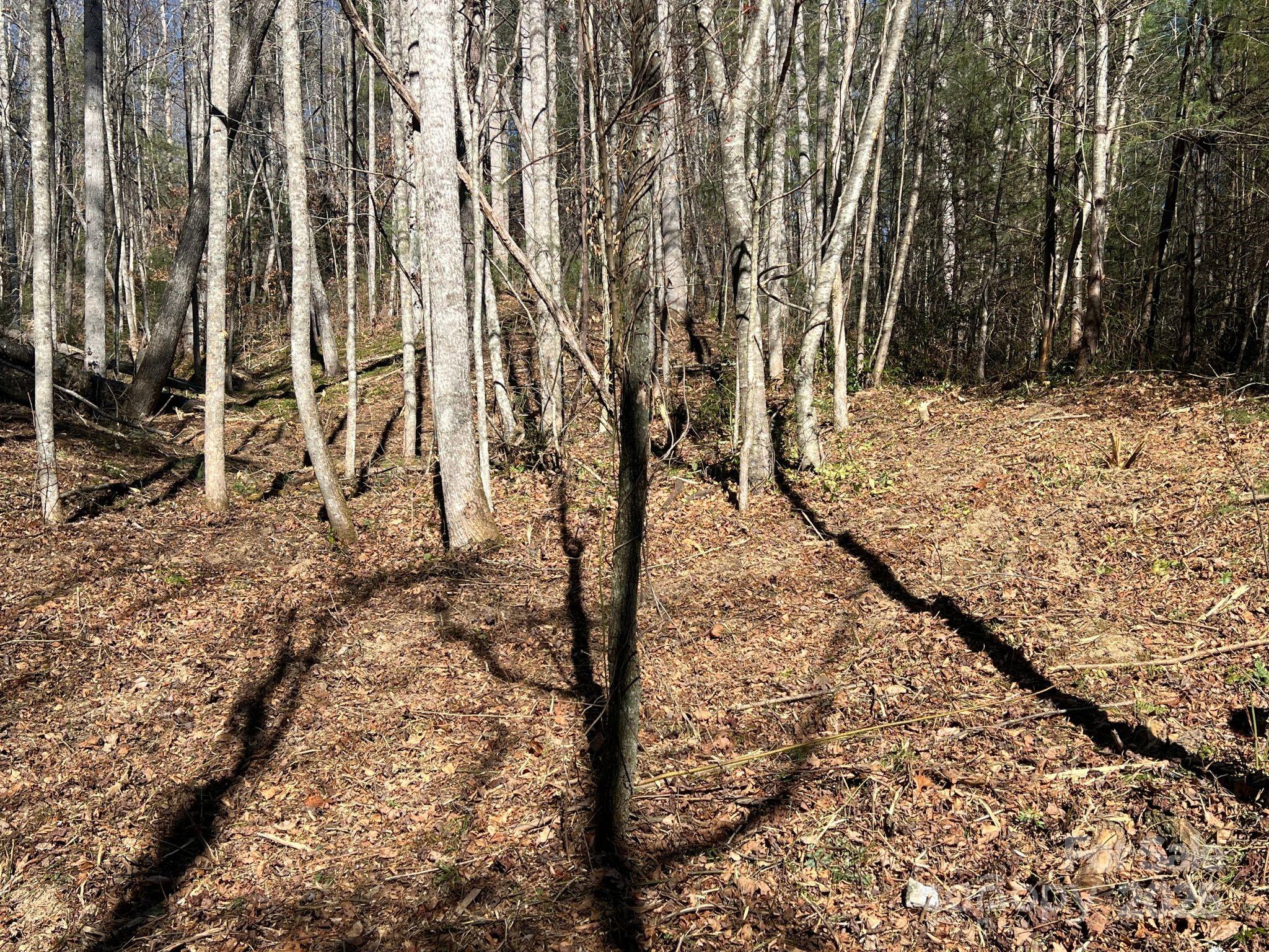 181 Falling Leaves Lane Hendersonville NC 28792