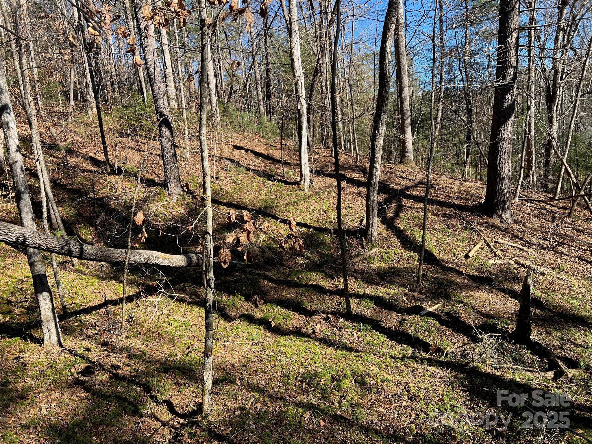 181 Falling Leaves Lane Hendersonville NC 28792