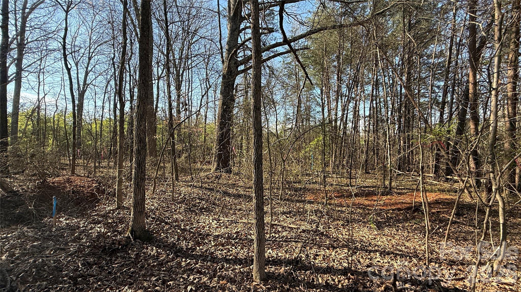1361 Zeb Haynes Road Maiden NC 28650