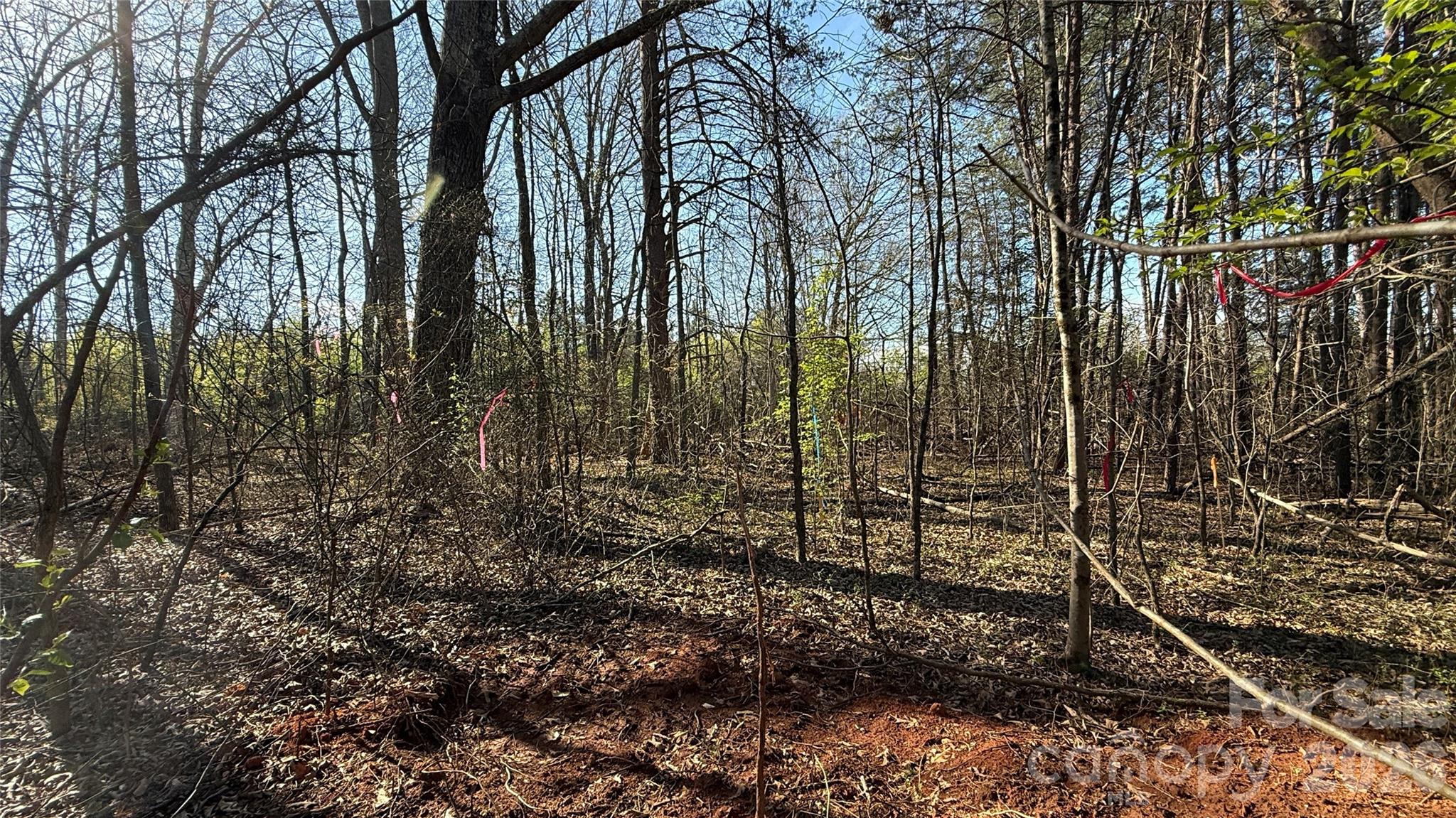 1361 Zeb Haynes Road Maiden NC 28650