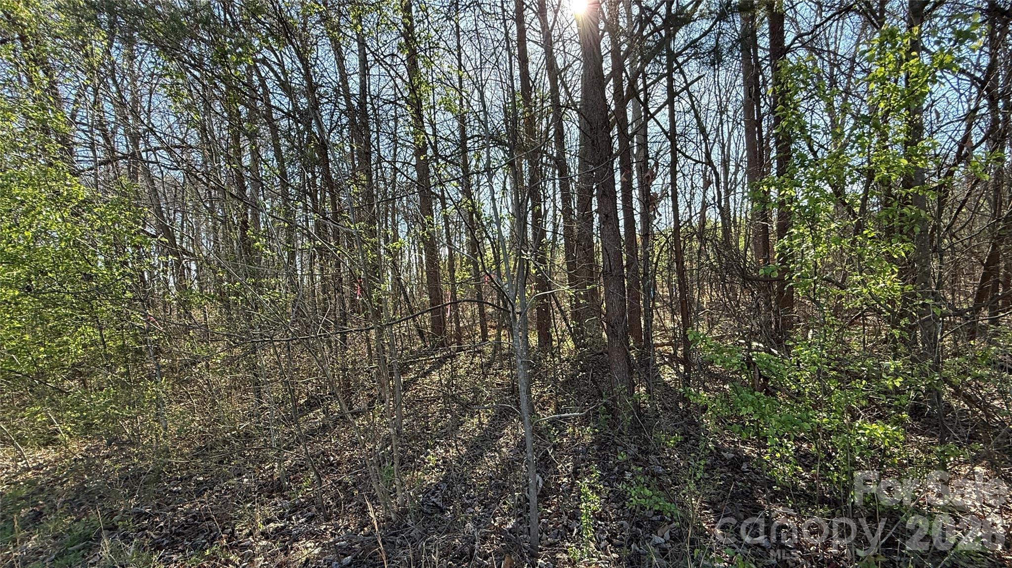 1361 Zeb Haynes Road Maiden NC 28650