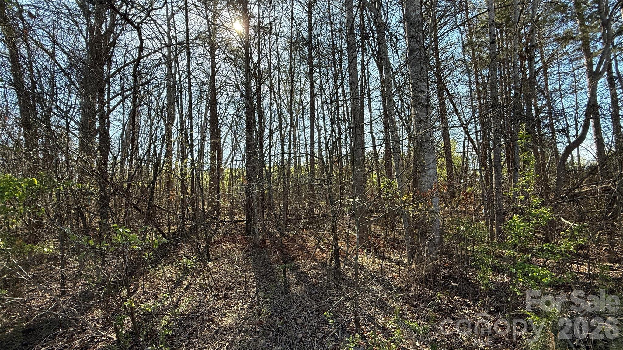 1361 Zeb Haynes Road Maiden NC 28650