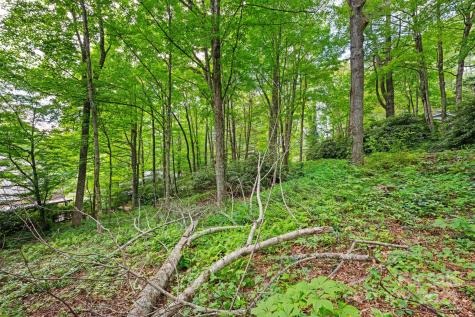 140 Pine View Road Newland NC 28657