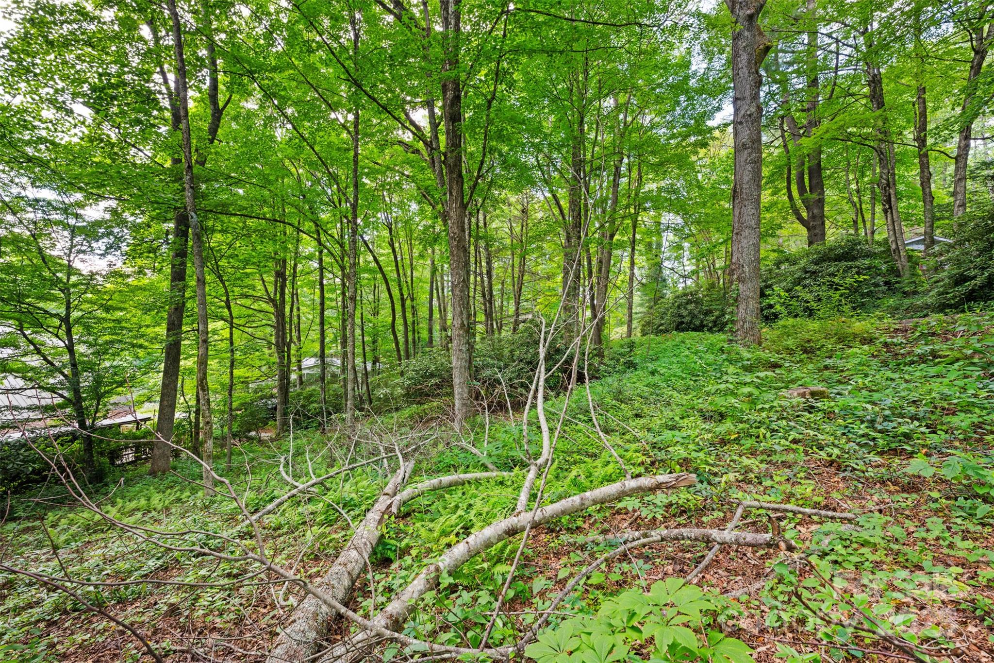 140 Pine View Road Newland NC 28657