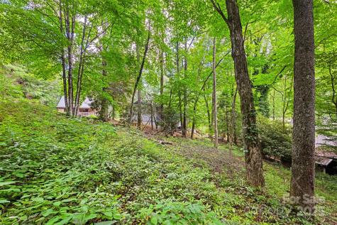 140 Pine View Road Newland NC 28657