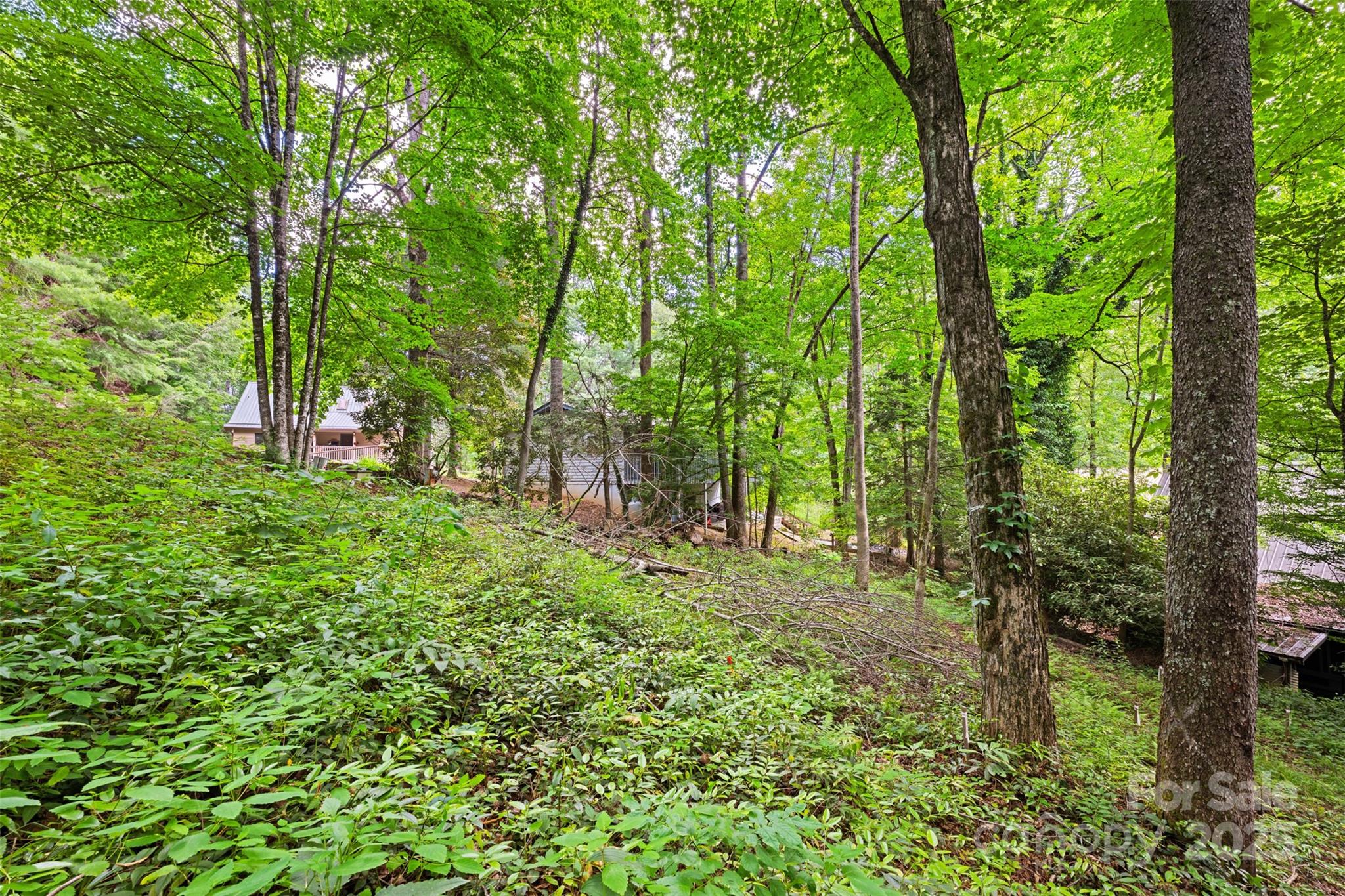 140 Pine View Road Newland NC 28657