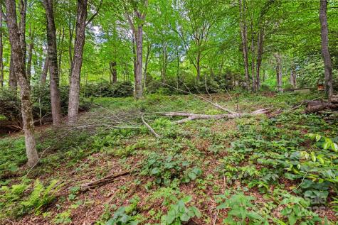140 Pine View Road Newland NC 28657