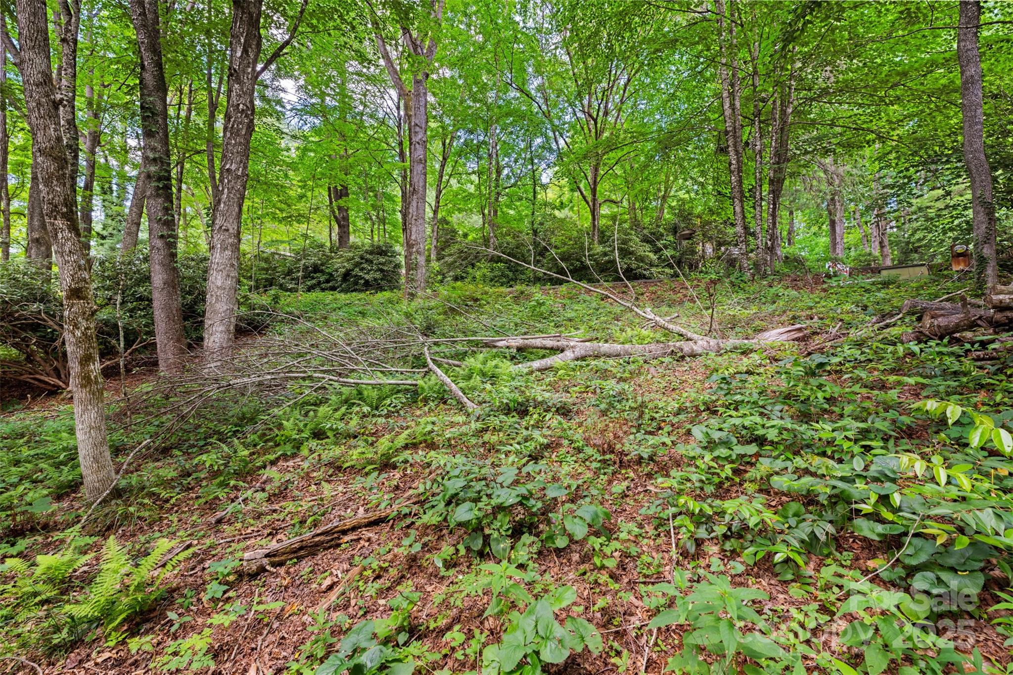 140 Pine View Road Newland NC 28657