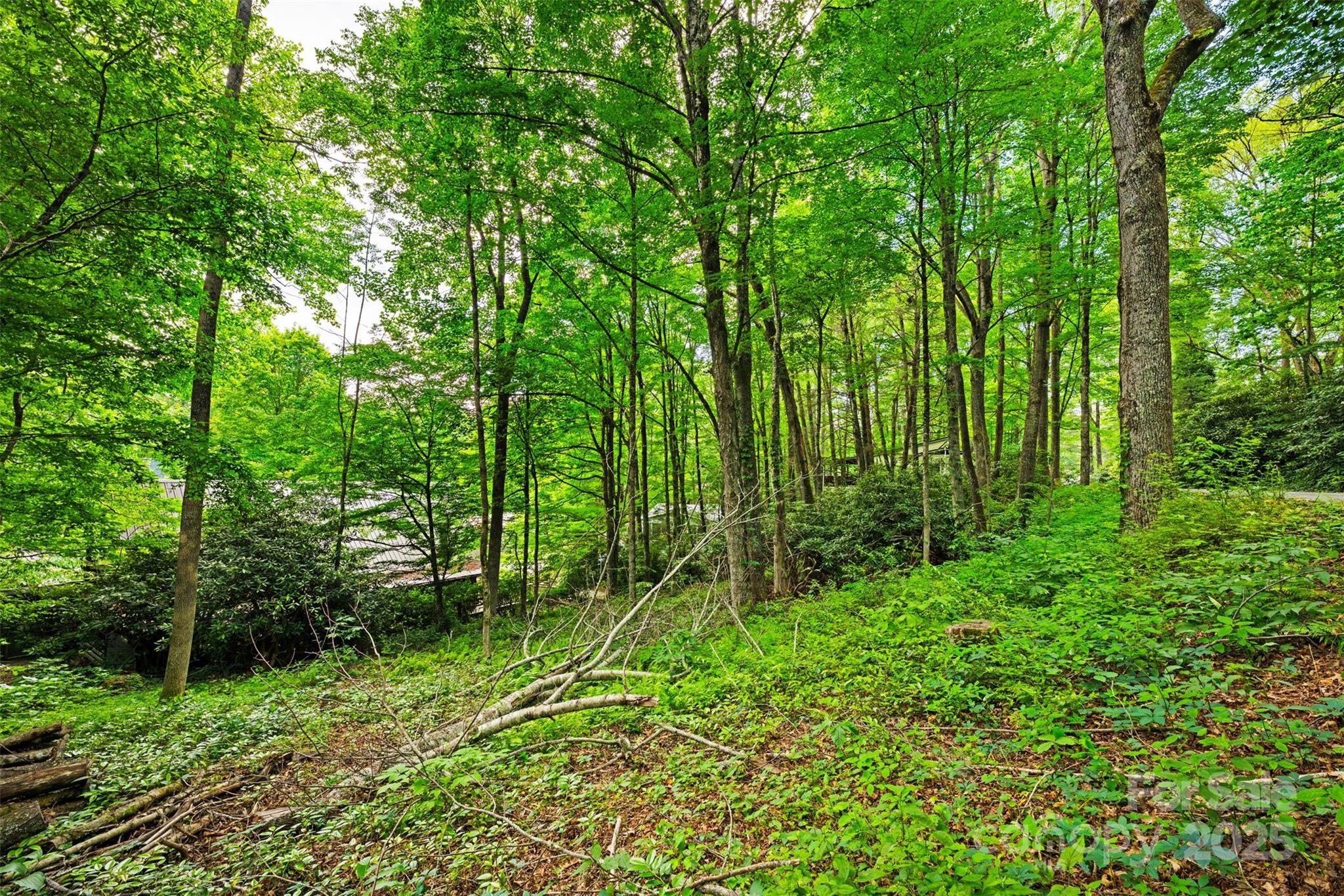 140 Pine View Road Newland NC 28657
