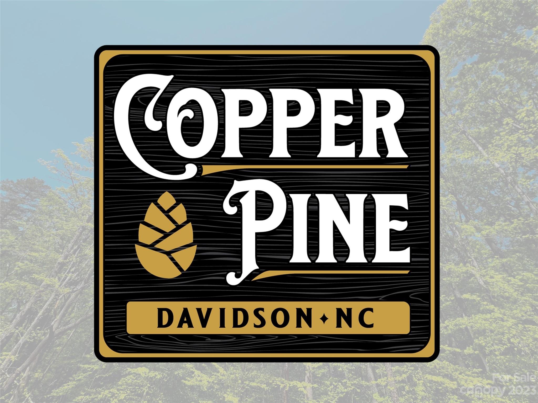 158 Copper Pine Lane Davidson NC 28036
