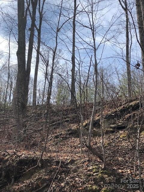 000 Butler Ridge Trail Hendersonville NC 28792