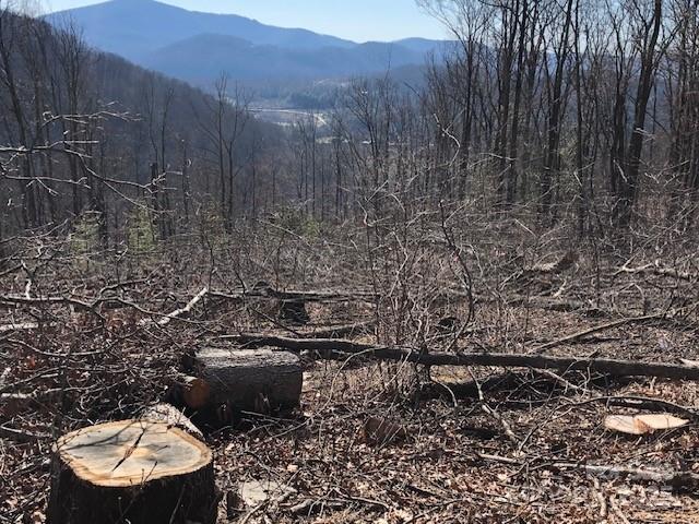 000 Butler Ridge Trail Hendersonville NC 28792