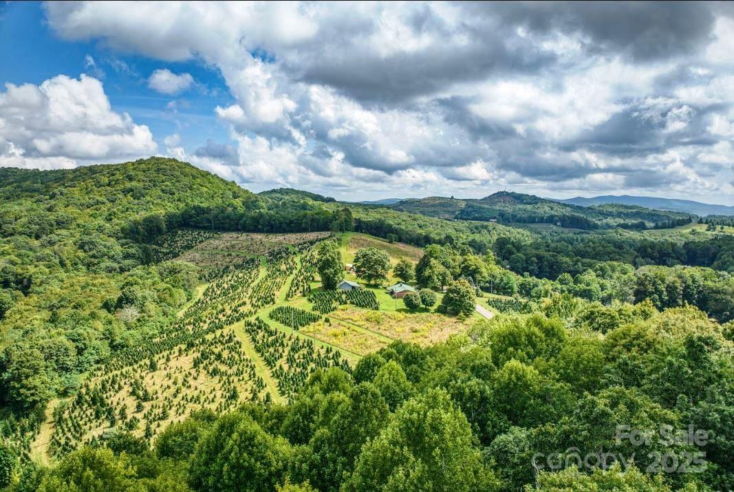 0 Cow Camp Road Newland NC 28657