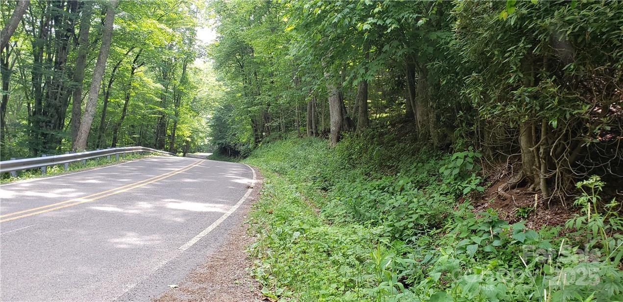 0 Cow Camp Road Newland NC 28657