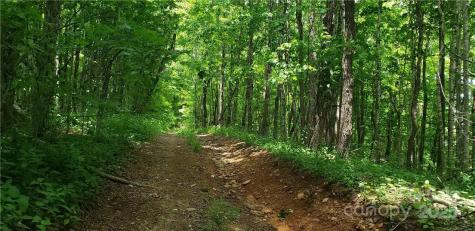 0 Cow Camp Road Newland NC 28657