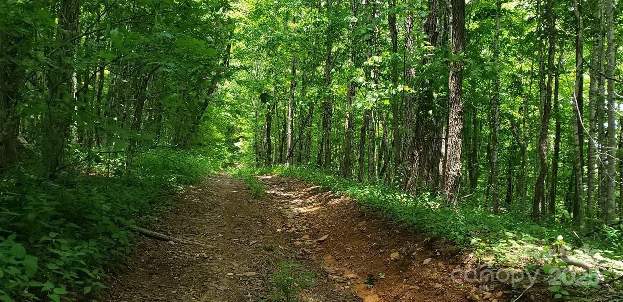 0 Cow Camp Road Newland NC 28657