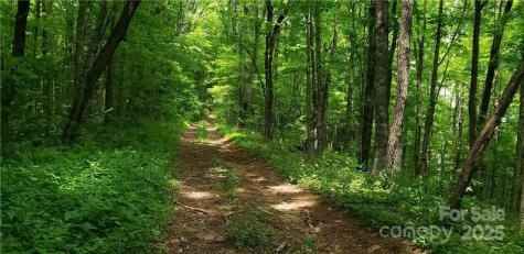 0 Cow Camp Road Newland NC 28657