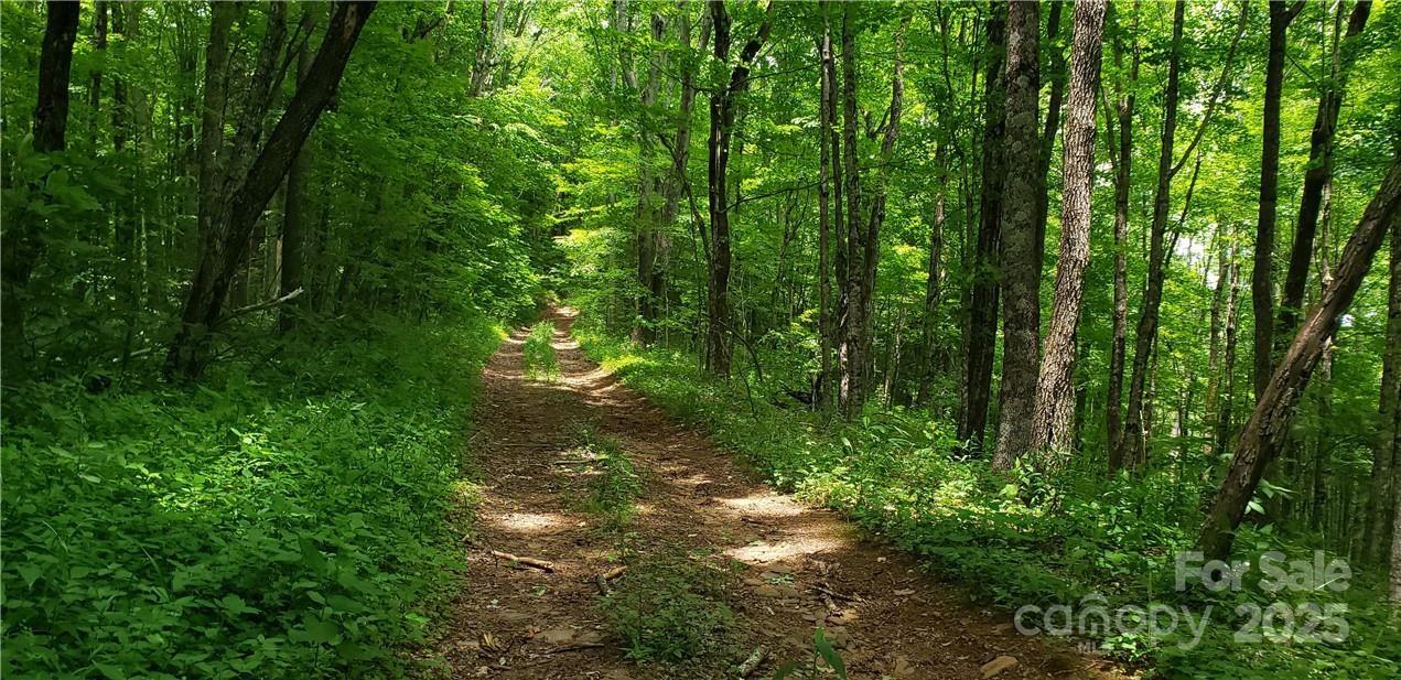 0 Cow Camp Road Newland NC 28657