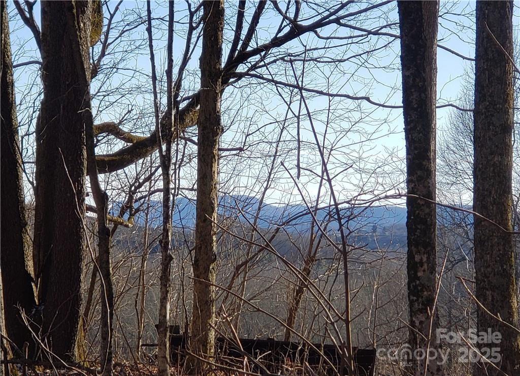 0 Cow Camp Road Newland NC 28657