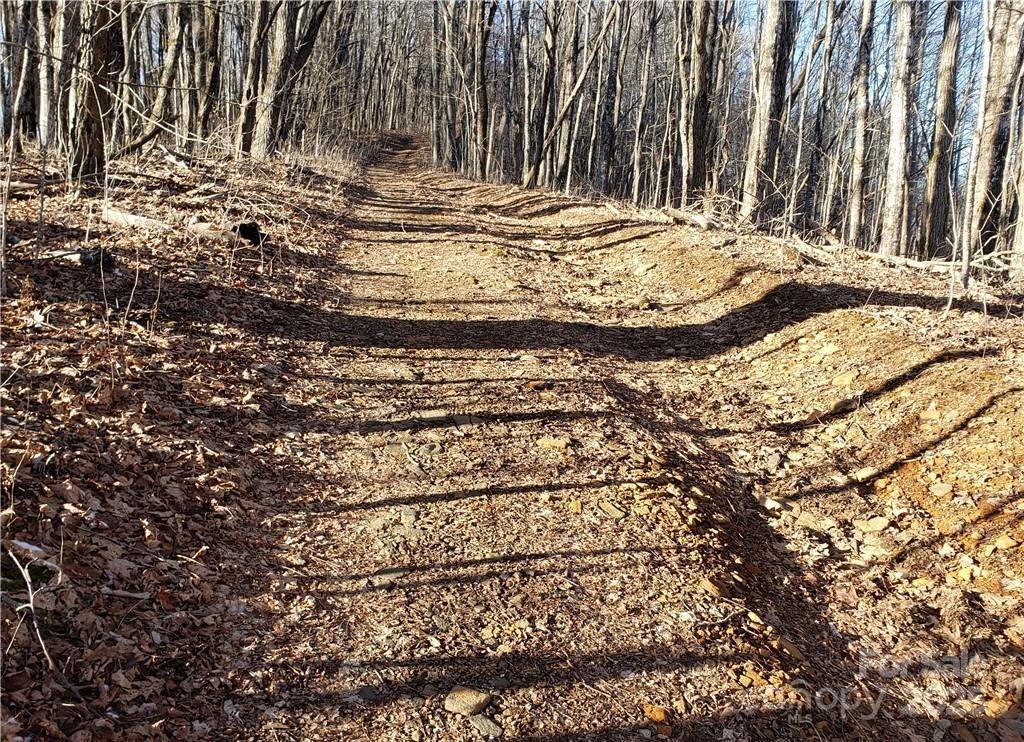 0 Cow Camp Road Newland NC 28657