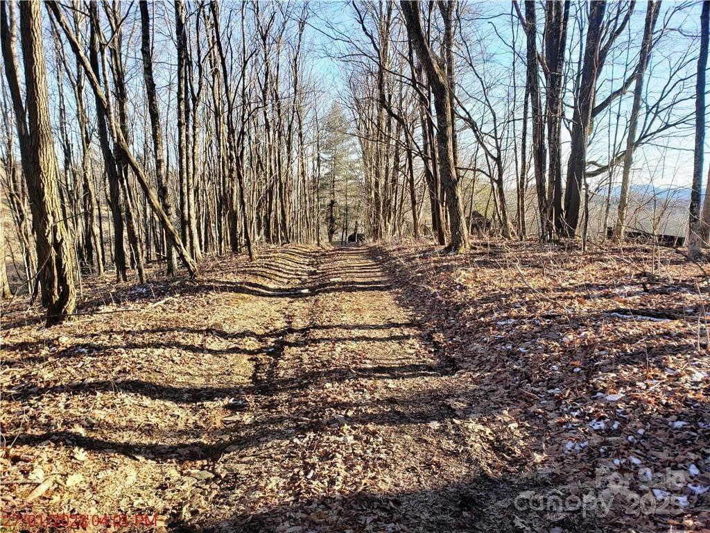 0 Cow Camp Road Newland NC 28657