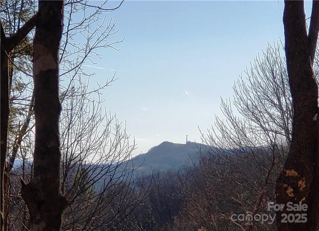 0 Cow Camp Road Newland NC 28657