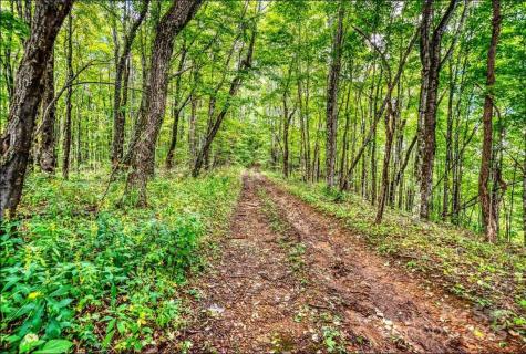0 Cow Camp Road Newland NC 28657