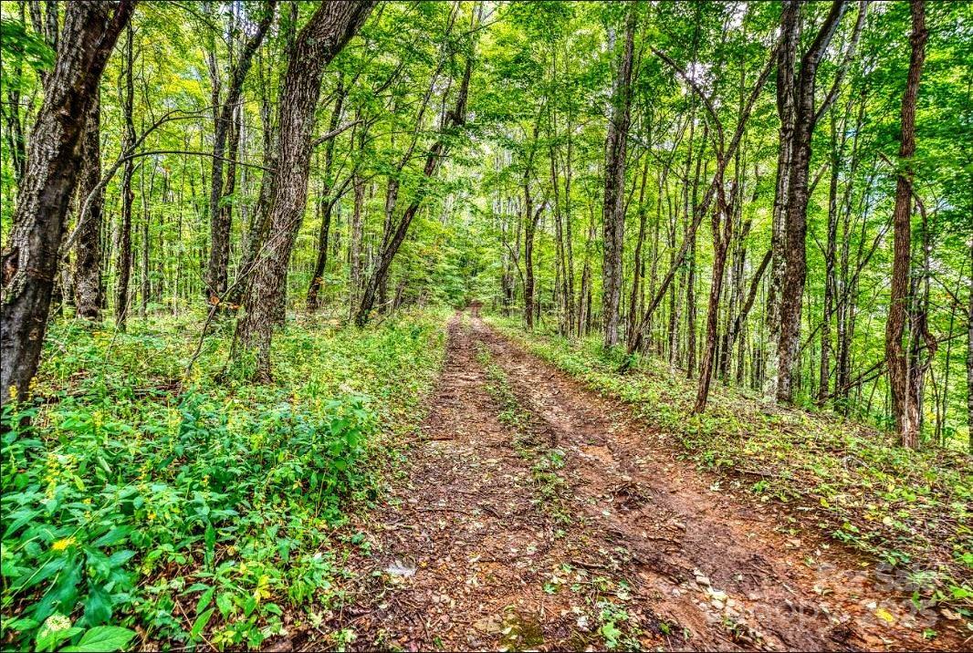 0 Cow Camp Road Newland NC 28657