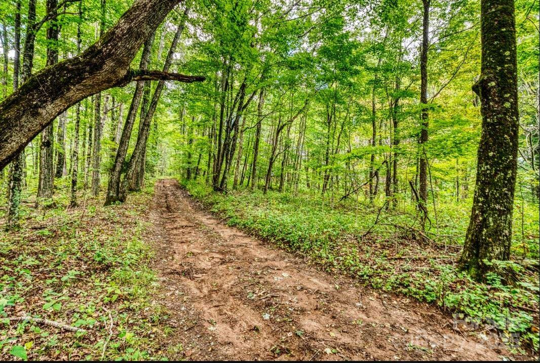 0 Cow Camp Road Newland NC 28657