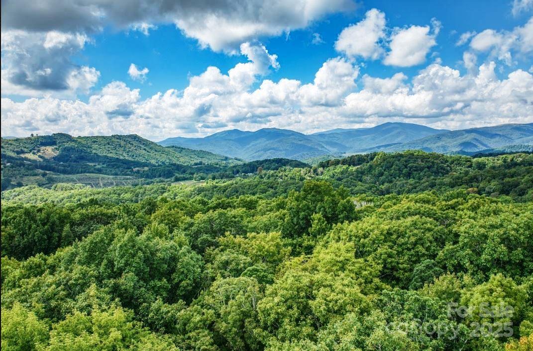 0 Cow Camp Road Newland NC 28657