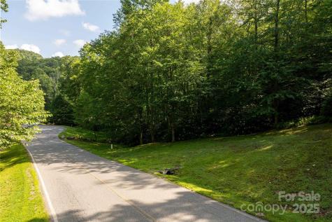 Tbd Lot 106 Firethorn Trail Blowing Rock NC 28605