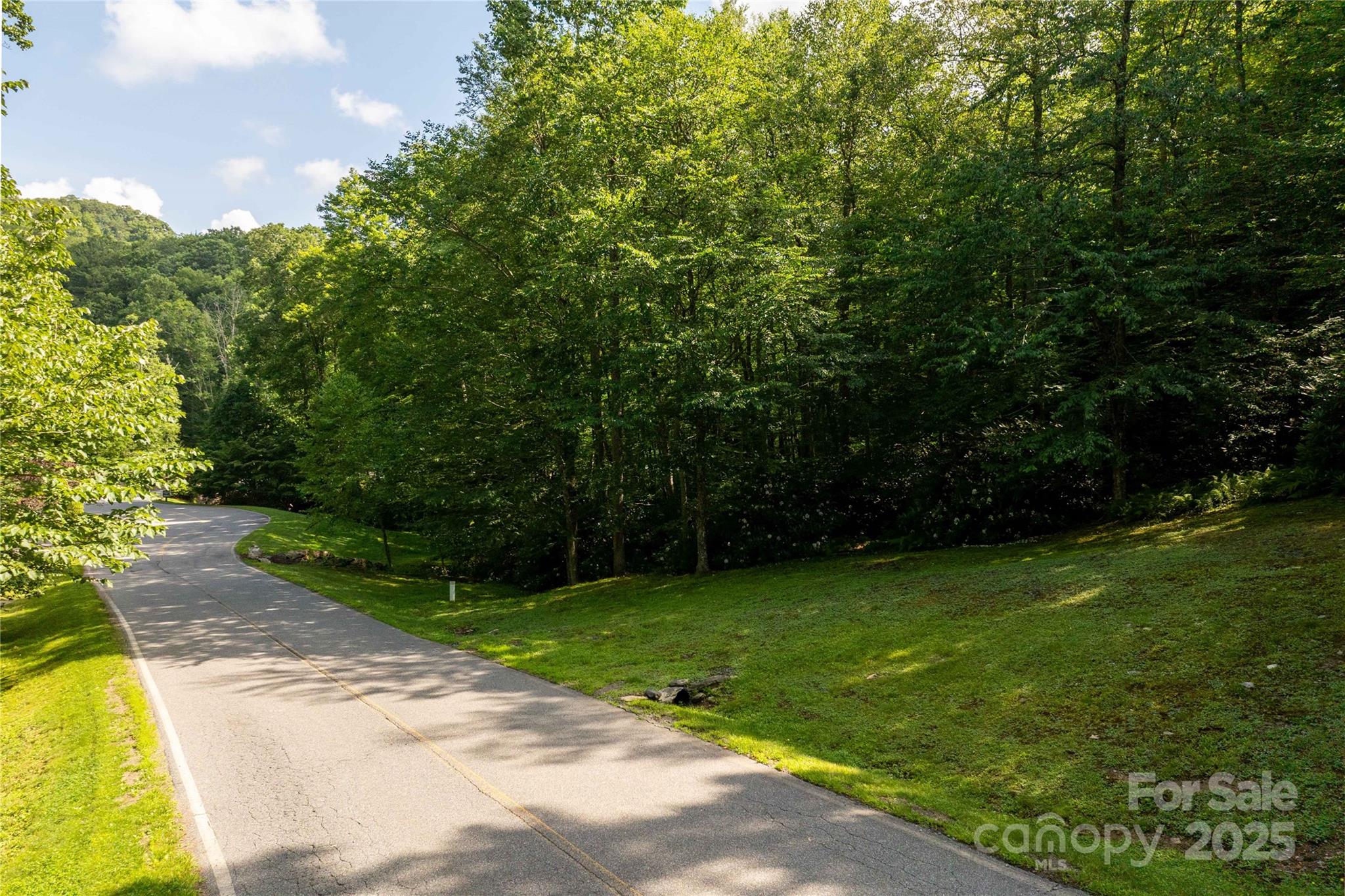 Tbd Lot 106 Firethorn Trail Blowing Rock NC 28605