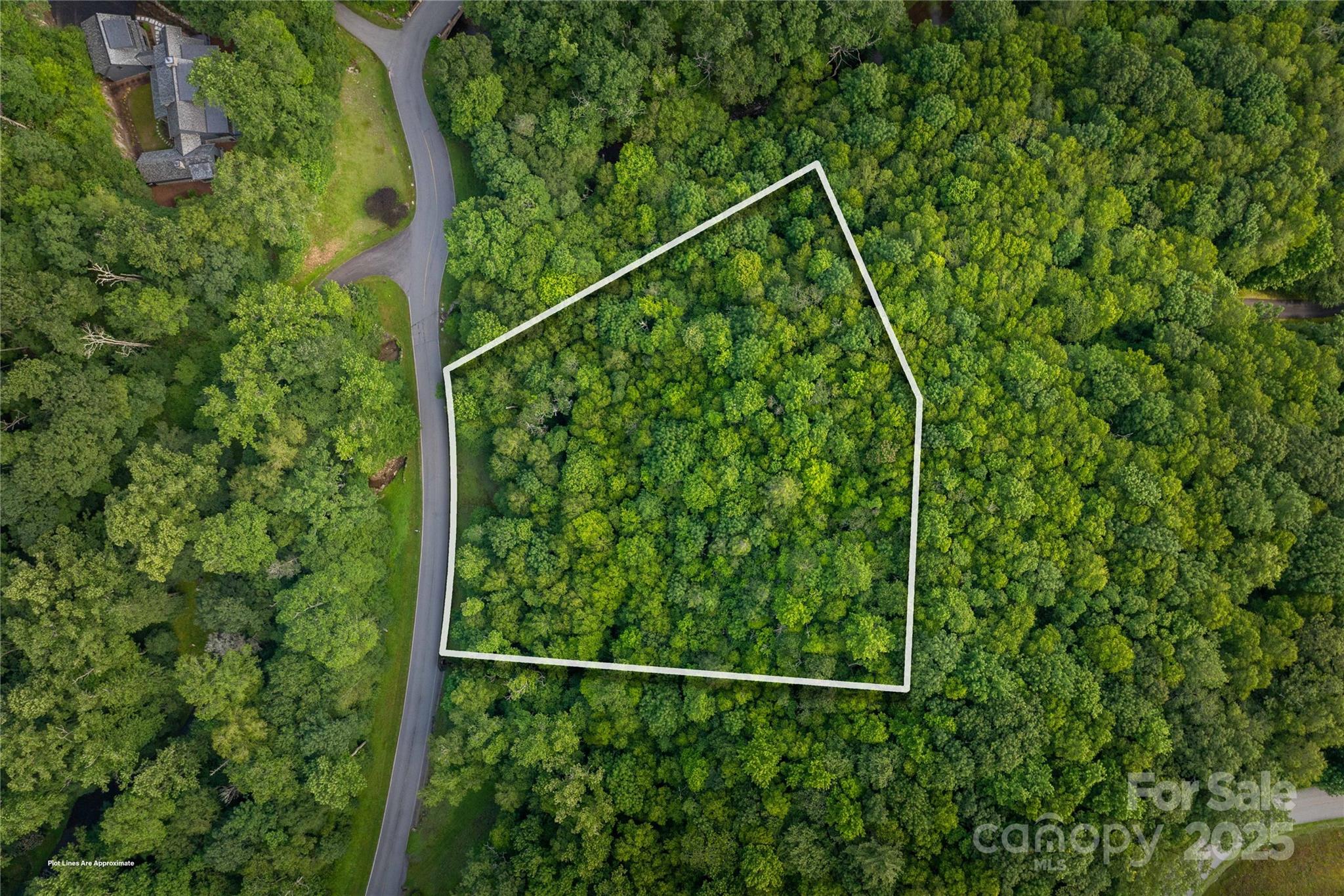 Tbd Lot 106 Firethorn Trail Blowing Rock NC 28605