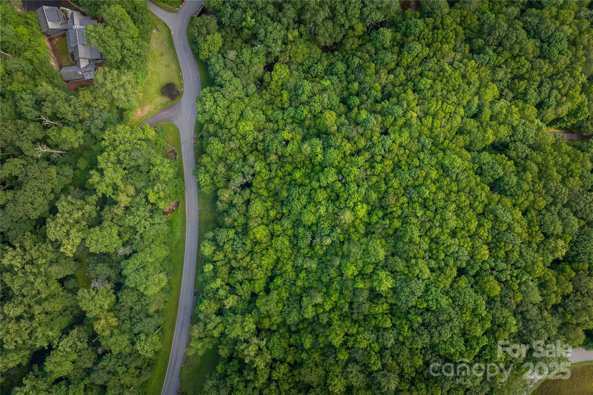 Tbd Lot 106 Firethorn Trail Blowing Rock NC 28605
